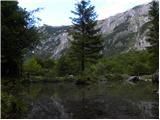 Source of Tolminka